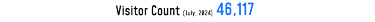 Visitor Count 