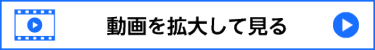 動画を拡大して見る